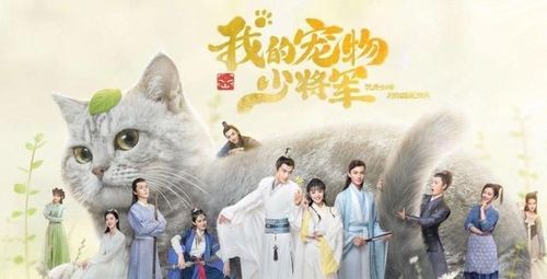 电视剧《我的宠物少将军》观感