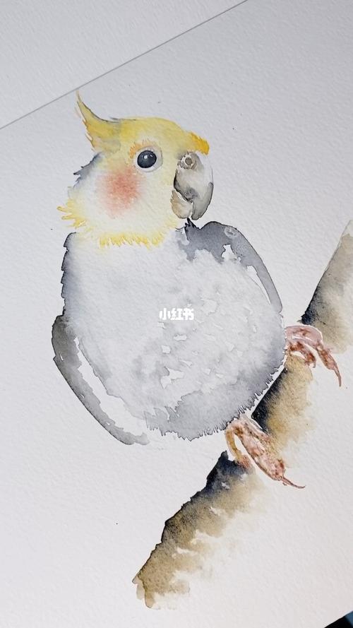 最爱一那抹小腮红～玄凤鹦鹉_腮红_鹦鹉_水彩画_珍珠