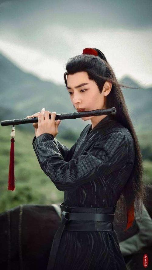 超高画质陈情令(魏无羡/肖战)个人图集