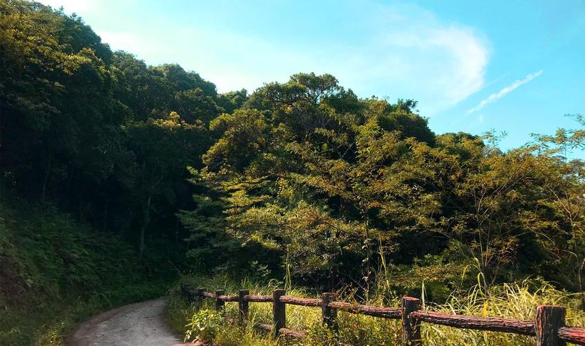 (本周日)深圳最大的瀑布|马峦山徒步穿越一日行,田园风光,湖海瀑布,尽
