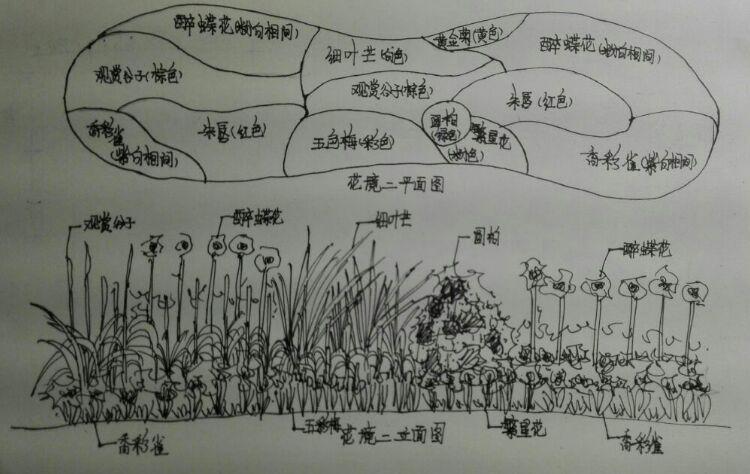 八,花境二平立面图