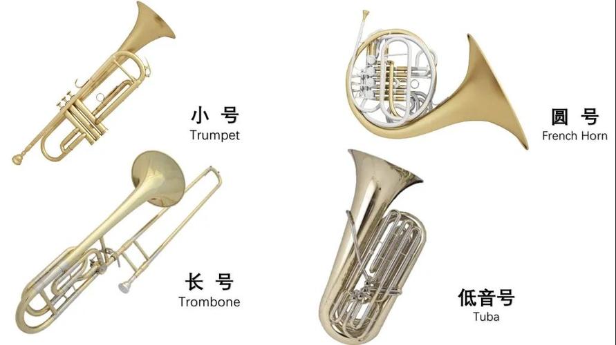 铜管乐器在管弦乐队里包含有小号,圆号,长号和大号.