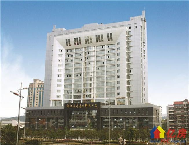 湖北信息产业科技大厦 271平 65元/平/月,武汉东湖高新区鲁巷东湖高新