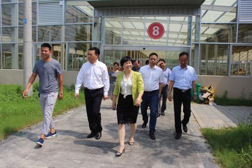 7月10日上午,高邮市委常委,纪委书记,市监委主任朱莉莉率领消防,市监