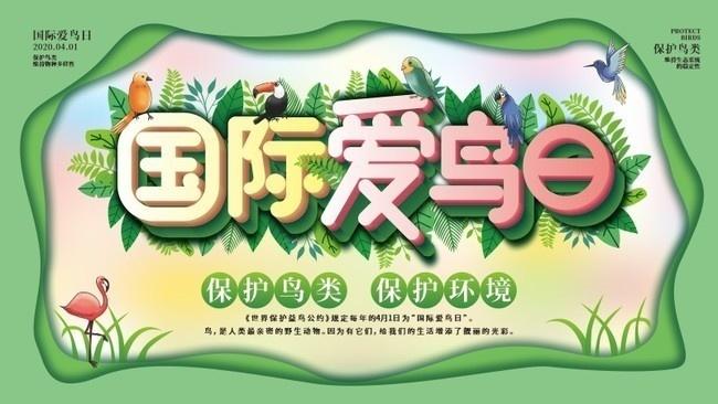 保护鸟类保护环境展板