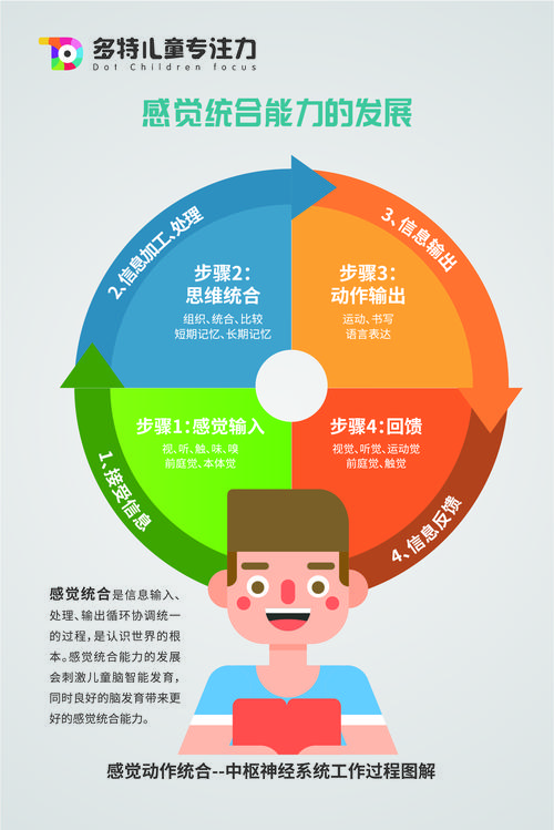 亲子课程 特色课 全脑潜能开发 早教课程 感统训练 注意力/专注力训练