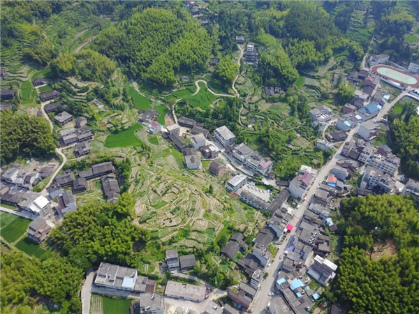 【中国网】泰顺县罗阳镇凤垟村被认定为浙江省善治示范村