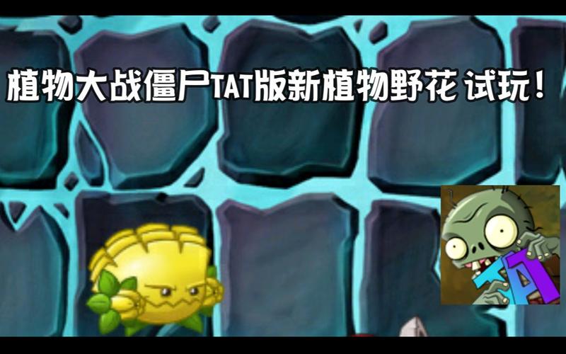 全网首发植物大战僵尸tat版新植物野花试玩