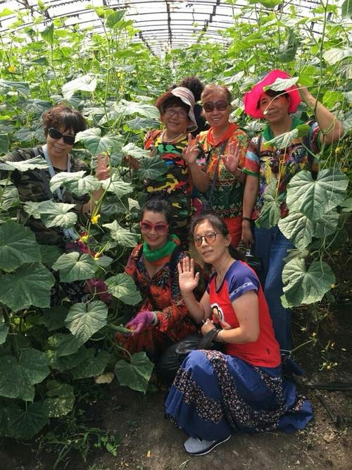 18年8月15日,山川户外,迎七夕,北大荒生态园快乐采摘!