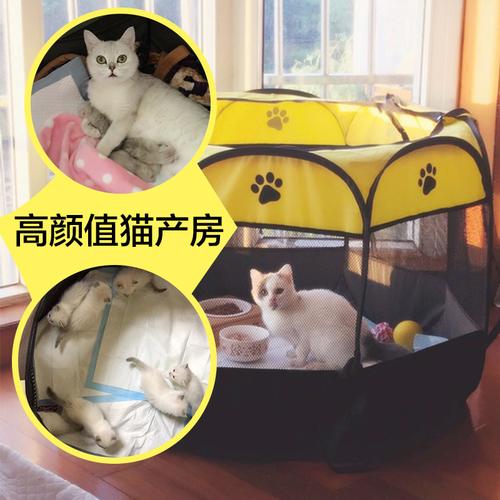 宠物产房猫咪生产房猫产房产箱窝怀孕猫咪用品帐篷狗狗猫窝封闭式