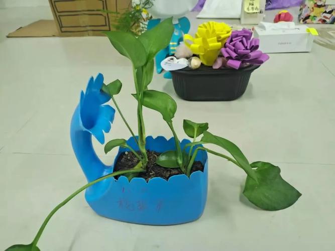 培文初中部丨美化创作有巧思废物利用助环保学会生活更热爱生活