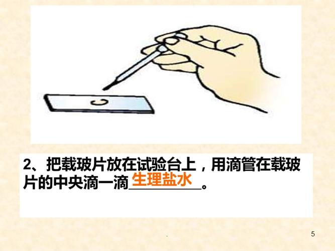 人体口腔上皮细胞临时装片制作ppt课件