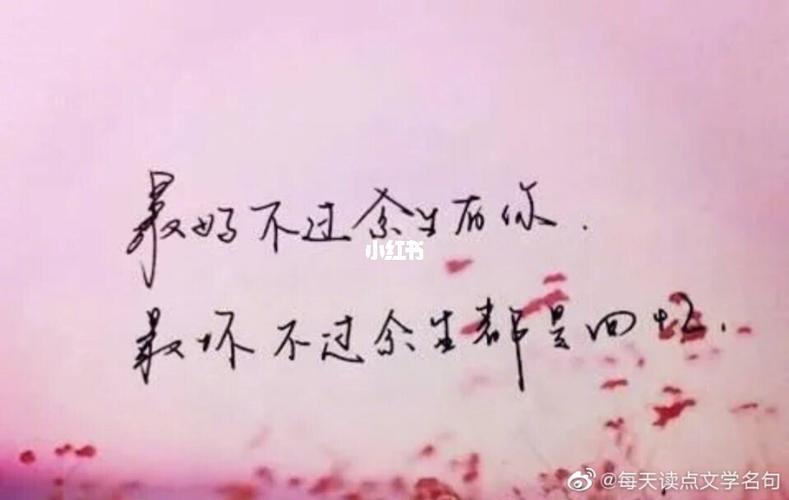 我决定放弃你了_素材_素材_文字素材