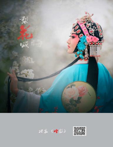 摄影 微信:gjfhandsome11 词:翁思再 梨花开 春带雨 梨花落 春入泥