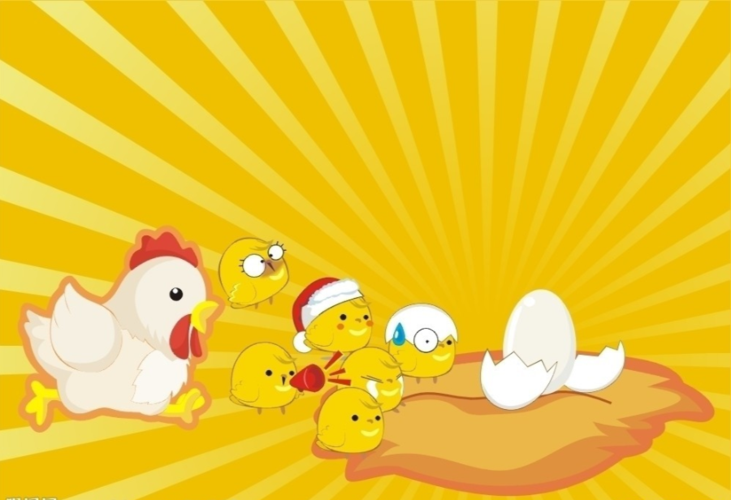 校园科普┋双黄蛋能孵出小鸡来吗?