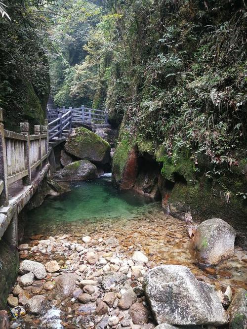 韶关市景点大全 乳源瑶族自治县景点大全 >南岭国家森林公园景区旅游