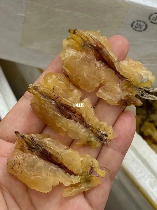 长白山雪蛤_长白山景区_美食_美食展示_食材展示