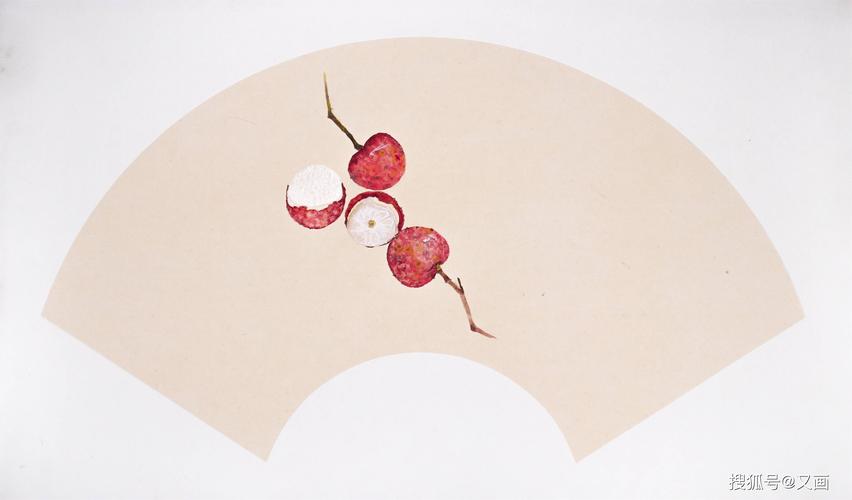 国画 荔枝扇面绘画步骤