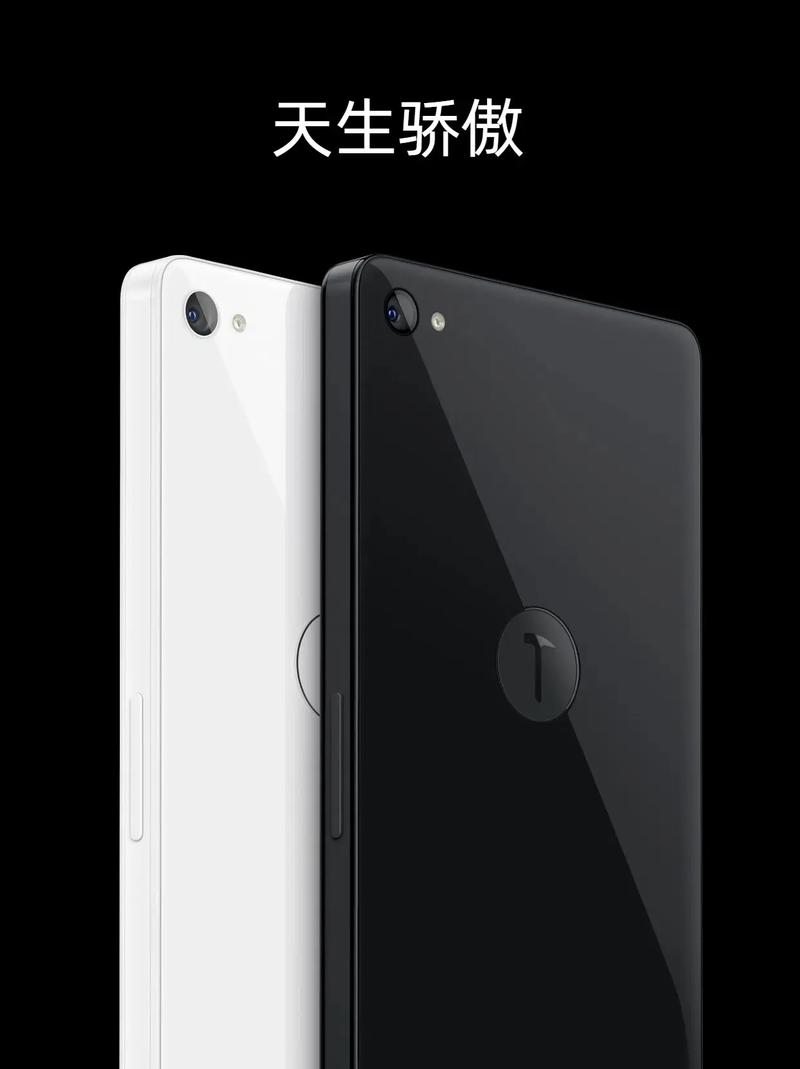 smartisan t1:天生骄傲!2014年发布的sma
