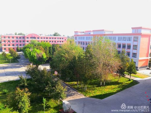 伊宁市第四中学应急处置演练流程