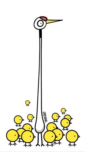 鹤立鸡群 漫画 小鸡 创意