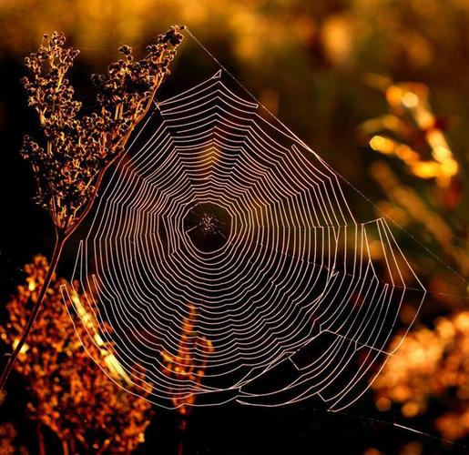解读:摄影构图中节奏的运用,普通场景也能拍出"韵律美