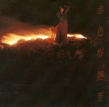 赤的疑惑(梅艳芳演唱歌曲)