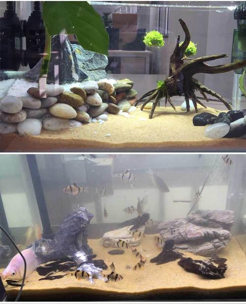 批发鱼缸水族珍珠砂河砂水族箱底沙化妆砂细河沙鱼缸装饰造景河沙