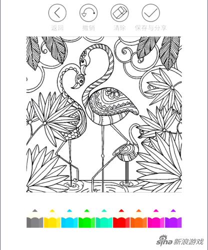 秘密花园动物原图展示 描绘专属萌宠