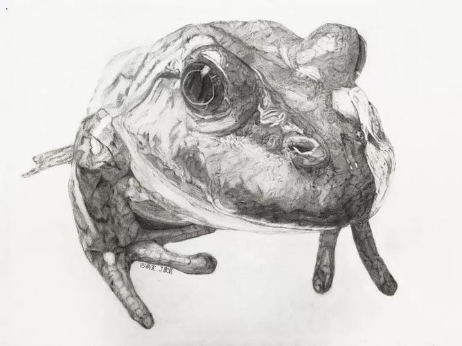 【尽精微 致广大】——黄公望高中高一年级精微素描作品线上展