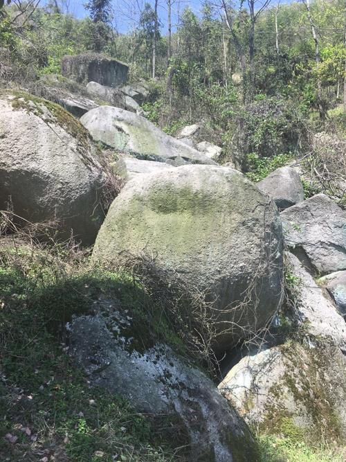 我们在山上看到了几块天然形成的大石头,我们累了,便在大石上停下休息