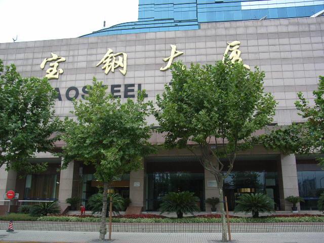 的公司上市答:公司系由上海宝钢集团公司独家发起设立的股份有限公司