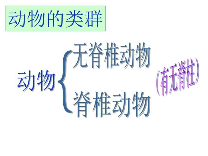 动物的主要类群复习课答案ppt