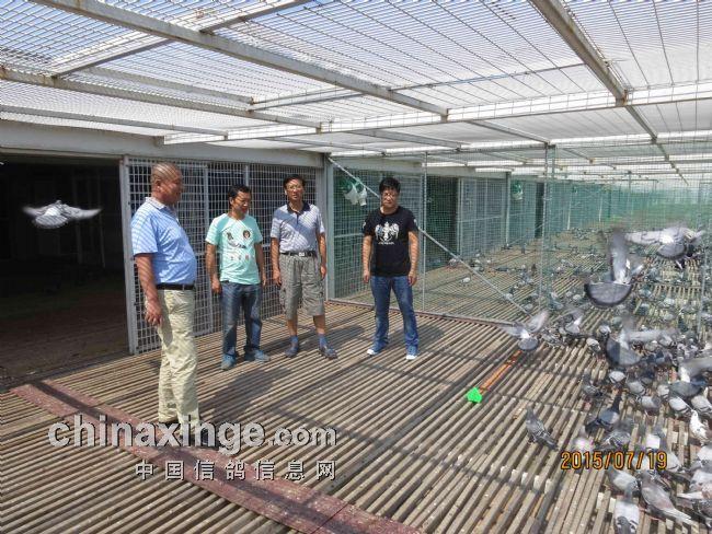 各地公棚-盛夏走进西安威力春棚(图)