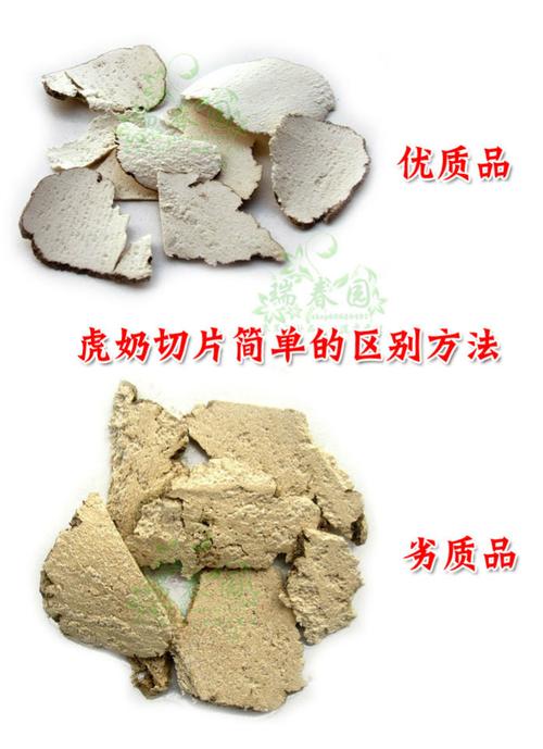 特级进口虎奶 正品虎乳菌 虎乳灵芝 野生虎奶菇 正宗特价包邮