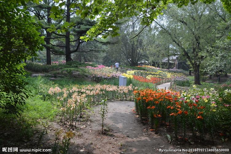 植物园风景图片