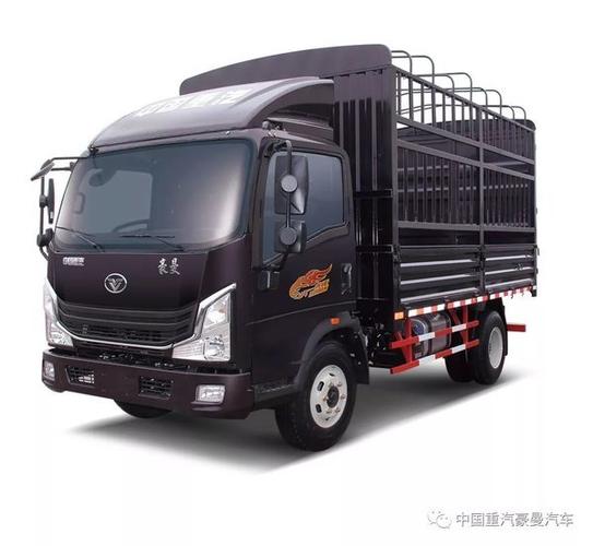 重汽豪曼-----蓝牌轻卡,你要的容量我都有