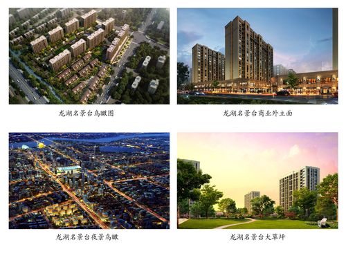 龙湖·名景台 体验区暨艺术之旅盛大启幕|住在杭州网