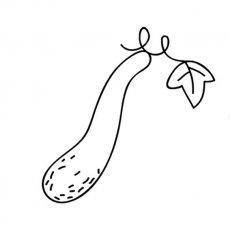 黄瓜的简笔画简笔画