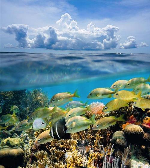 这座岛,只有中国公民才能去的地方,你去了吗?_西沙群岛