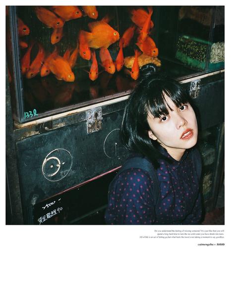 亚寒带的鱼 - 菜盟主 - 图虫