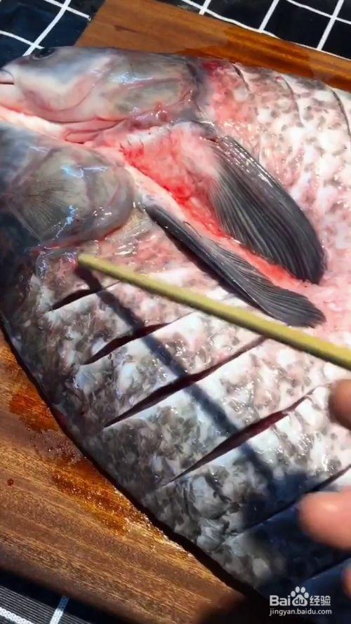 我们将草鱼连刀剖开,去掉内脏和鱼鳃,在背部改上花刀方便入味,表面