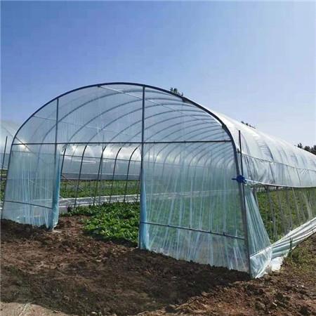 五家渠大棚造价