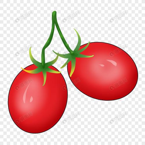 卡通红色圣女果插图