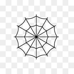 蜘蛛网卡通图片大全