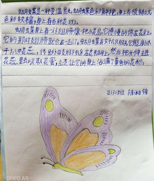 【昆虫备忘录】优秀作品集—— 红花岗区第二小学三3班