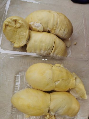 榴莲_榴莲_美食_美食展示