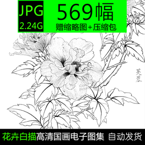工笔画花卉花鸟白描底稿国画高清图片电子版素材线描练习稿临摹