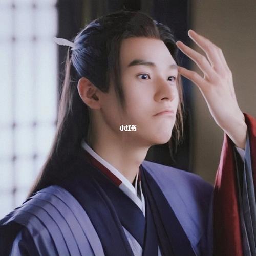 山河令温客行周子舒龚俊张哲瀚头像_山河令_龚俊_张哲