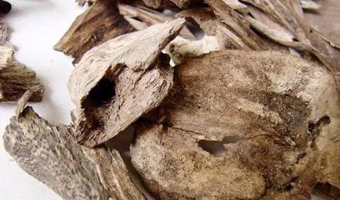 教您辨别——中药材沉香之真假